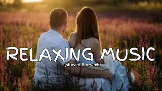 Relaxing music Lyrics  New hindi songs 2024  Hindi songs  Pop hindi songs [upl. by Vinaya]