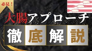 【大腸アプローチ】大腸の生理学、評価、治療、反射点についてわかりやすく解説 [upl. by Ynneg319]