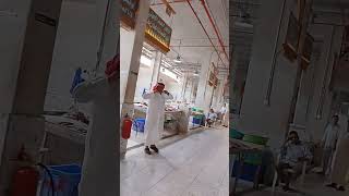 Fish market in Yanbu Saudi Arabia [upl. by Urien]