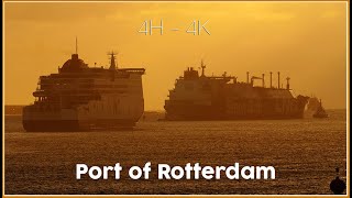 4 Hours Maasvlakte  Europoort and Hook van Holland  4K [upl. by Wood358]