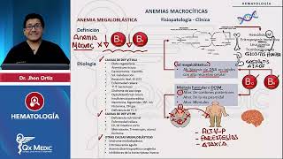 HEMATOLOGÍA  Anemias macrocíticas Anemia megaloblástica [upl. by Fidelis]