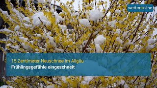 Frühlingsgefühle eingeschneit  15 Zentimeter Neuschnee über Nacht [upl. by Vierno134]