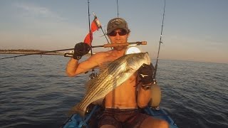 Kayak Fy Fishing for Striped Bass in Rhode Island [upl. by Inafets308]