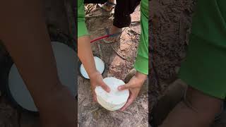 Rubber latex💭 rubberfarming rubberwood rubbertapping rubbersap satisfying rubber bushcraft [upl. by Mable]