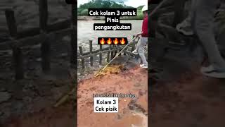 Cek minyak di kolam 3 tebal minyak satu metermuatantrontonvlog [upl. by Ellekcir]