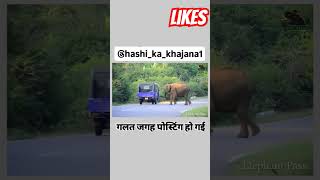 Gajendra SI part5 l🤣🤣funnyvideos funnnymoments funnyshorts funnymemes funnyanimals funnyclips [upl. by Etteb658]