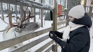 Зимові канікули в НорвегіїМіра Шентюрк Winter Holidays in Norway Mira Şentürk [upl. by Messing797]