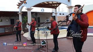 Factor Sierreño  Zancudito Loco amp La Abeja Miope VIDEO MUSICAL CON VIOLIN 2017  ¡ESTRENO [upl. by Lori466]