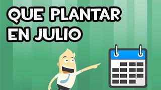 Que SEMBRAR y PLANTAR en JULIO  Calendario de Siembra [upl. by Akyssej]