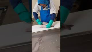 Haddock fish filleting single filets [upl. by Auric]