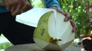 Top Amazing Coconut Cutting Skills eps08 [upl. by Odyssey605]