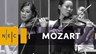 Mozart Sinfonia concertante in E flat Major K 364 [upl. by Ahsiena]