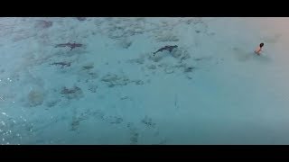 Niño se salva de ataque de tiburones en las Bahamas🦈🦈 [upl. by Deehsar]