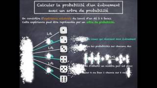 calculer une probabilité sur un arbre [upl. by Leanor]