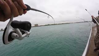 Fishing In Port Huron With The Boys [upl. by Aserat]