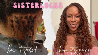 Sisterlocks Journey 10 Year Update Installation Hair Phases Retightening Routine Colour [upl. by Kobi]