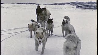 An InuitEskimo family in the Arctic 1959 [upl. by Fritzsche]