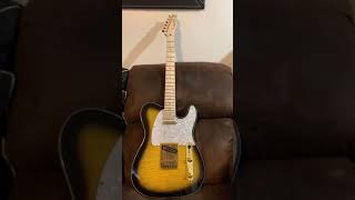 Fender Richie Kotzen Telecaster Customized [upl. by Colton510]