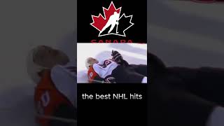 NHL best hits of all time [upl. by Pattie674]