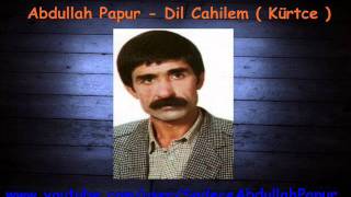 Abdullah Papur  Dil Cahilem  Kürtce [upl. by Ynnav885]