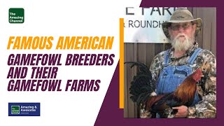 AMAZING SPORTS HOBBY  Famous American Gamefowl Breeders and their Gamefowl Farms [upl. by Nims618]