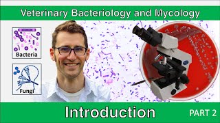 Introduction to Microbiology  Part 2 [upl. by Mitran]