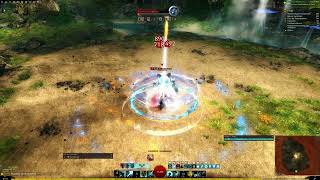 Gw2 Firebrand Benchmark 41380 June 25th Patch [upl. by Fugere]