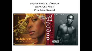 Erykah Badu x DAngelo  Didnt Cha Know The Line RemixMashup [upl. by Natie]