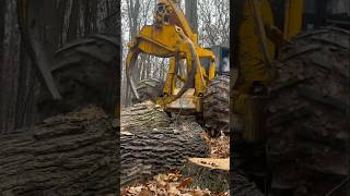 John Deere Forestry Equipment logger chainsaws skidder logging [upl. by Yllib]