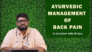 Best Ayurvedic Remedies for Back Pain Relief Proven Natural Treatmentsquot [upl. by Icat]