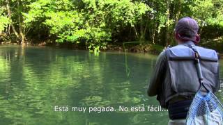 Pirineo Navarro pesca trucha [upl. by Niles]