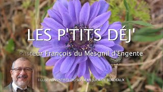 1363  Les Ptits déj spirituels  Parabole du semeur  Matthieu 1319 [upl. by Flossi480]