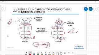 Carbohydrates 1 [upl. by Anelis]