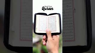 Aur inse pahle 💕☘️motivation quranrecitation hearttouching holyqurantranslationbeautiful bayan [upl. by Adirem364]