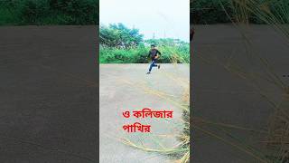 কলিজার পাখিরে ও পরানের পাখিরে কলিজারপাখি foryou funny islamik shorts [upl. by Lotti80]