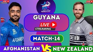 LIVE AFGHANISTAN vs NEW ZEALAND T20 WORLDCUP MATCH  live afg vs nz  live t20 worldcup 2024 [upl. by Aryc]