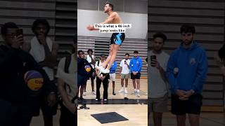 461 inch vertical jump  standing  Jordan Kilganon [upl. by Phillada]