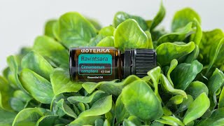 doTERRA Ravintsara 5ml  Translated Subtitles [upl. by Betsy497]