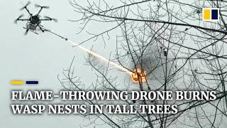 Flamethrowing drone burns wasp nests in tall trees in China [upl. by Elbas]