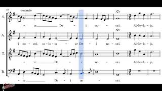 Choir chór Viderunt omnes fines terrae  M Zieleński  Soprano  score [upl. by Rogozen]