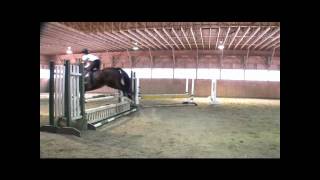 Zig Zag jumping exercise in side pull bitless bridle hunterjumpers eventing equitation [upl. by Eidnak]