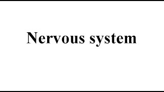 Mastering Neuro ExamComponents of Neurological Assessment Cranial Nerve Assessment GCS Reflexes [upl. by Akerdal]