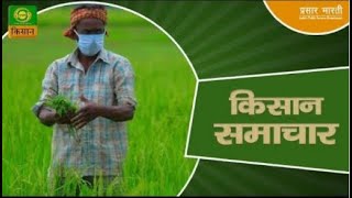 Watch latest news coverage on DD Kisans daily news bulletin Kisan Samachar  December 12 2024 [upl. by Darius373]