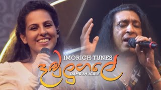 Dambulugale  දඹුලුගලේ   Chitral Somapala  Imorich Tunes [upl. by Mcclish]