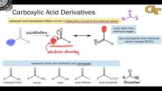 0605 Carboxylic Acid Derivatives [upl. by Zoes]