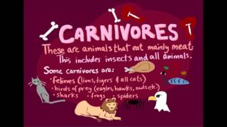 Herbivore Carnivore Omnivore Rap [upl. by Fredella]