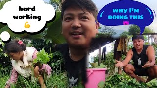 working at home and plantation 💪Nepal rura village 🧬 Aashan lamaNepal lifestyle vlog🇳🇵💯 [upl. by Tullus]