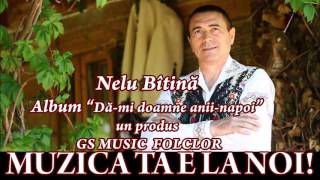 COLAJ ALBUM NELU BITAINA  DAMI DOAMNE ANIINAPOI [upl. by Akimaj943]