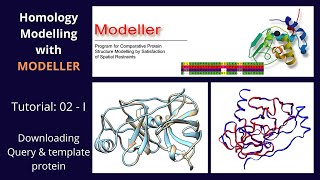 Homology Modelling  Tutorial 2 of 5  Part 1  Modeller [upl. by Aciretnahs]