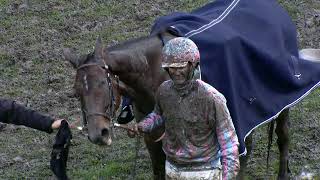 Maienfeld  13102024  PFERDERENNEN IN MAIENFELD BAD RAGAZ Highlights of the day [upl. by Pansie]